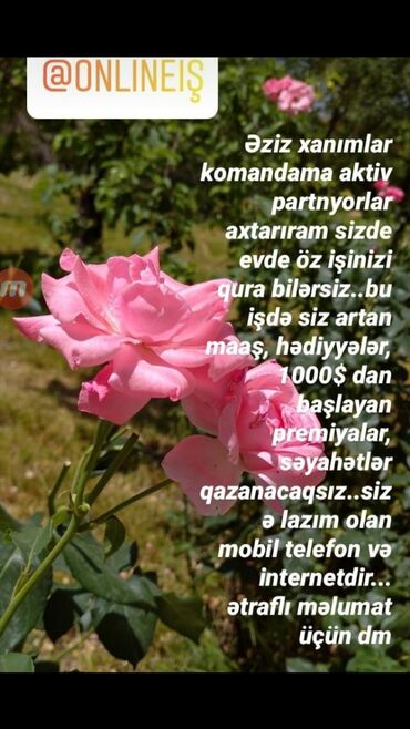 Butun evdar xanimlari ise devet edirik