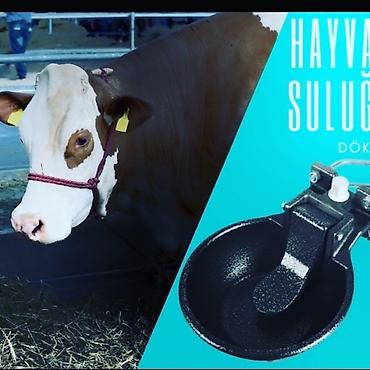 qax heyvan: Yem qabı, Su üçün, Heyvanlar üçün, Ünvandan götürmə, Ödənişli çatdırılma — 3