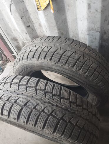 Шины: Шины 195 / 65 / R 15, Зима, Б/у, Пара, Легковые, Япония, Bridgestone