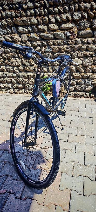 4 teker velosiped: İşlənmiş Şəhər velosipedi Salcano, 29", sürətlərin sayı: 10, Ünvandan götürmə — 8