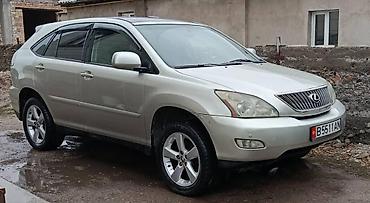 Lexus: Lexus RX: 2005 г., Кроссовер — 10