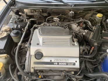 Nissan: Nissan Maxima: 1999 г., 3 л, Автомат, Седан — 2