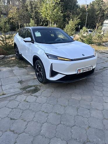 b y d: Dongfeng Aeolus Haohan: 2026 г., Автомат, Электромобиль, Кроссовер — 1