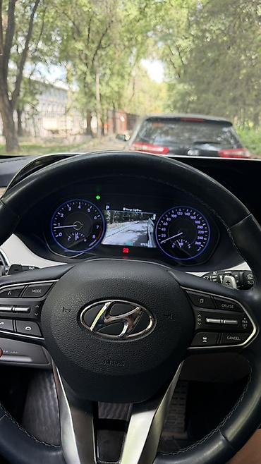 азия пелес: Hyundai Palisade: 2020 г., 3.8 л, Автомат, Бензин, Кроссовер — 5