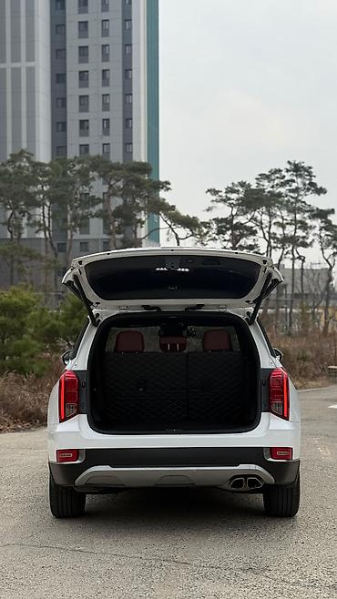 Hyundai: Hyundai Palisade: 2019 г., 2.2 л, Дизель — 5