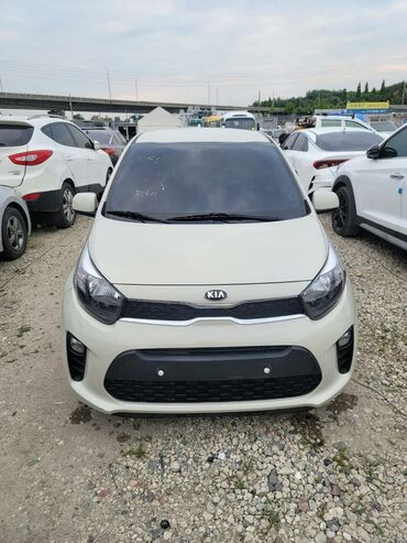 Kia: Авто