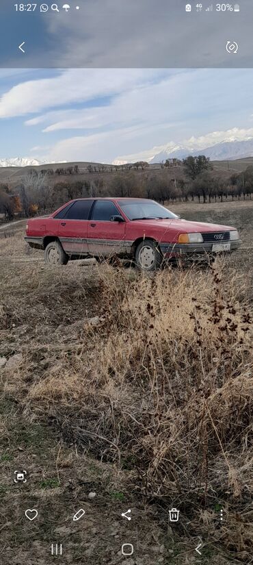 Audi: Audi 100: 1989 г., 1.8 л, Механика, Бензин