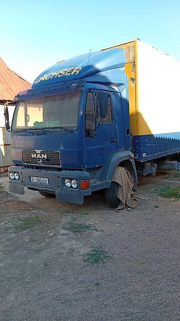 прицеп для перевозки животных: Грузовой автомобиль MAN (тентованный фургон/борт-тент) - — 3