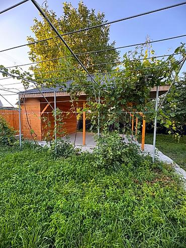 Посуточная аренда домов: 🏡 Сдаётся уютная дача в дачном кооперативе «Бек-Тоо» Идеальное место — 13