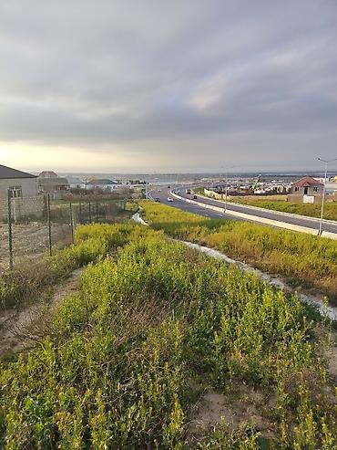sibriz: 8 sot, Tikinti, Mülkiyyətçi, Kupça (Çıxarış) — 6