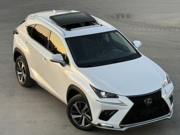 датчик абсолютного давления: Lexus NX: 2020 г., 2.5 л, Вариатор, Гибрид, Кроссовер
