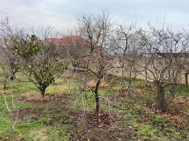 Həyət evləri və villaların satışı: 5 otaqlı, 255 kv. m, Yeni təmirli — 11