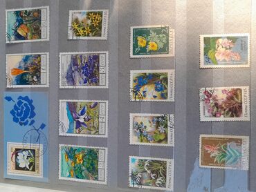 Markalar: Məhsul: Poçt markaları albomu Təsvir: - Başlıqda rus dilində — 7