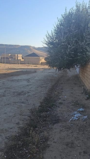 ekin sahesi: 8 sot, Tikinti, Mülkiyyətçi, Kupça (Çıxarış) — 3
