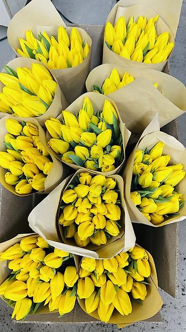 Букеты из живых цветов: ТЮЛЬПАНЫ ТЮЛЬПАНЫ ТЮЛЬПАНЫ на 8 марта. Бронь - Палитра: ярко‑желтые — 4