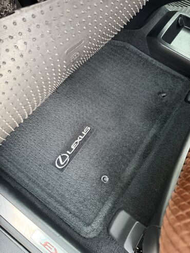 Lexus: Lexus RX: 2004 г., 3.3 л, Автомат, Бензин — 9