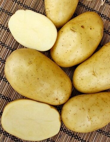 купить картошку оптом: Семена и саженцы Картофеля, Самовывоз, Платная доставка