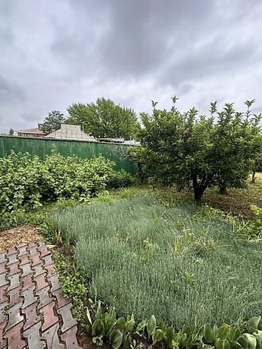 Продажа коттеджей и домов: 📍В Сокулуке от трассы 400м. ул. Восточная продается дом на участке 6 — 5