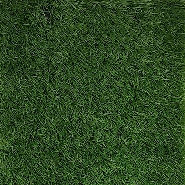 Газон: Футбольный газон,искусственный футбольный газон,газон +для футбольного — 8