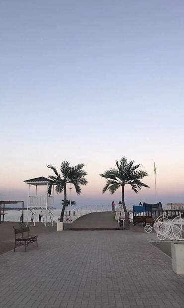 Продажа коттеджей и домов: Продается коттедж в селе Чок-Тал Palm Beach с обустроенным участком и — 32