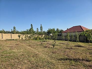 mingəcevir ev alqi satqi: 4 otaqlı, 148 kv. m, Kredit yoxdur, Təmirsiz — 10