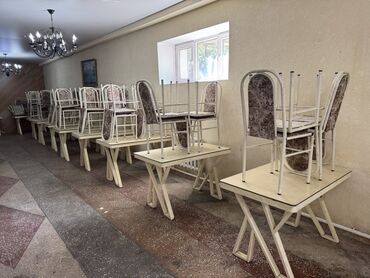растения в аквариум: Ашкана үстөлү жана отургуч, түсү - Саргыч боз