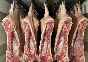 купить клубнику в шоколаде бишкек: Чочконун эти : Кабыргалар, 10 кг ашык