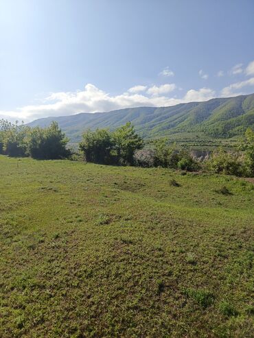 Torpaq sahələrinin satışı: 30 sot, Tikinti, Mülkiyyətçi, Kupça (Çıxarış) — 7