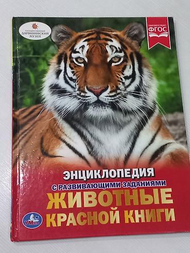 сыйкыр: Набор из 10 книг на русском и кыргызском языках для детей и взрослых — 9