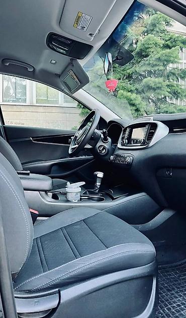 elm327 bluetooth: Kia Sorento: 2020 г., 2.4 л, Автомат, Бензин, Кроссовер — 9