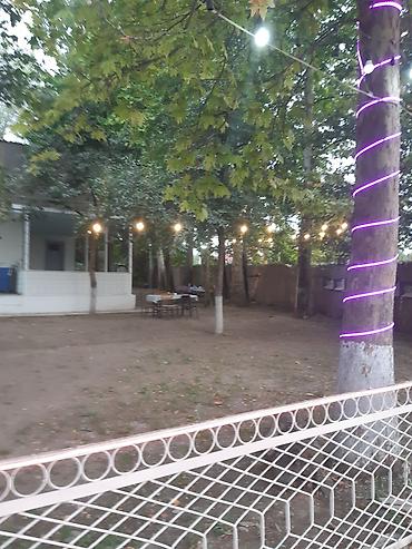 restoran hostes vakansiya: Nərgiz kafesine ofsiyant xanım teleb olnur maaş 30 azn +yimək çayavoy — 8