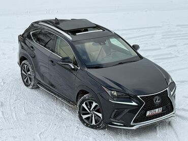 Lexus: Lexus NX: 2018 г., 2.5 л, Вариатор, Гибрид, Кроссовер