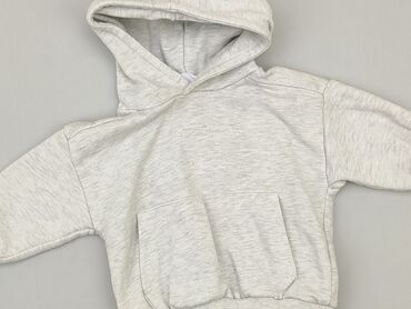 kombinezon na zimę dla chłopca: Sweatshirt, Zara, 12-18 months, condition - Very good