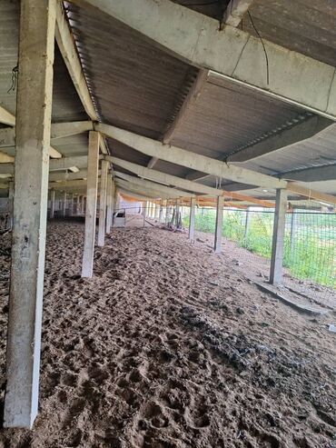 Сельхоз предприятия: Продаю Кошара, 800 соток, Действующий, С оборудованием — 8