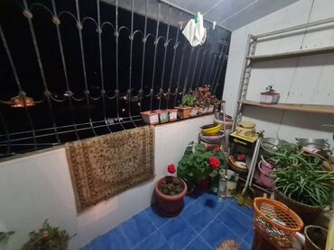 Köhnə tikili: Bakı, Zığ qəs., 3 otaqlı, Köhnə tikili, m. Həzi Aslanov, 82 kv. m — 20