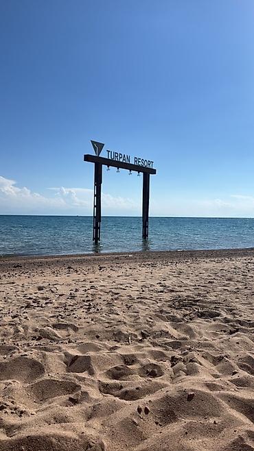 отдых в palm beach: СДАЮ!!! Апартаменты-студия в комплексе Turpan Resort !!! Кара ОЙ!!! — 1