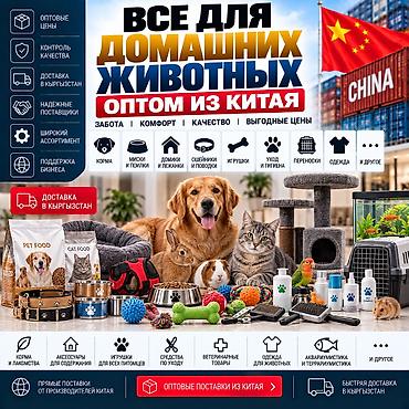 кой сойуу: ALIBAO.KG — всё для домашних животных из Китая оптом и в розницу — 1