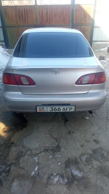 тойота королла хечбек: Toyota Corolla: 2000 г., 1.8 л, Автомат, Бензин