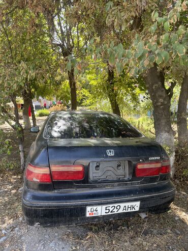 нонда свик: Honda Accord: 1998 г., 2 л, Механика, Бензин, Седан