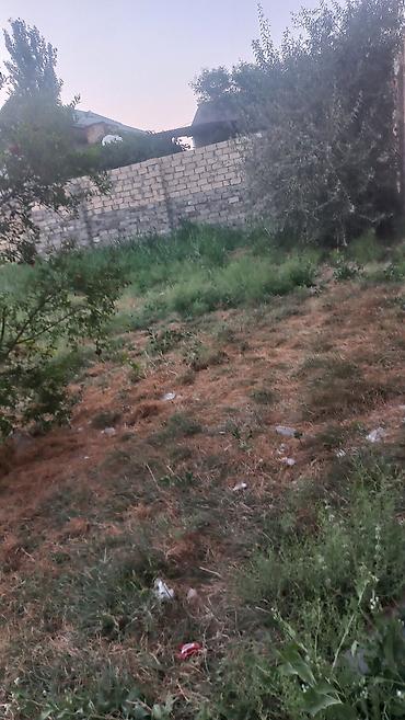 bağca satılır: Bakı, Əhmədli, 5 kv. m, 1 otaqlı, Hovuzsuz — 10