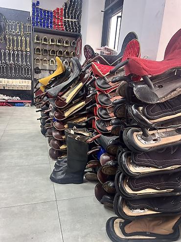 Другие животные: Ат жабдыктар — 4