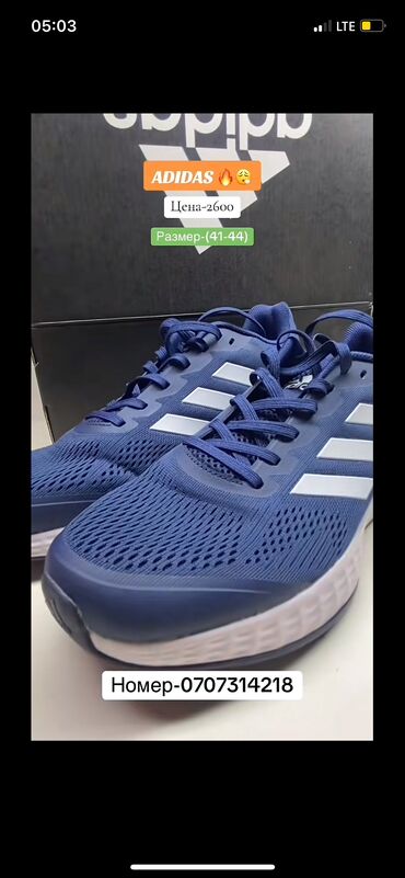 Кроссовки и спортивная обувь: Мужские кроссовки, 43, Adidas Originals, Новый, Бесплатная доставка