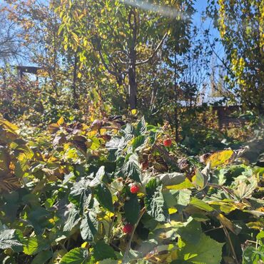 Продажа домов: Дом, 150 м², 5 комнат, Собственник, Евроремонт — 30