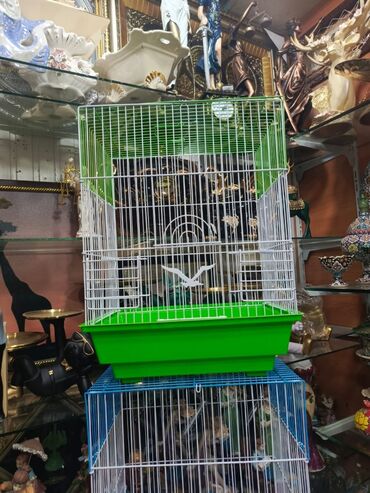 Qəfəslər: Təzə Qəfəslər 9azn boş qəfəslər Valnisti Tutuquşu Qəfəsi 9azn Amadin — 3