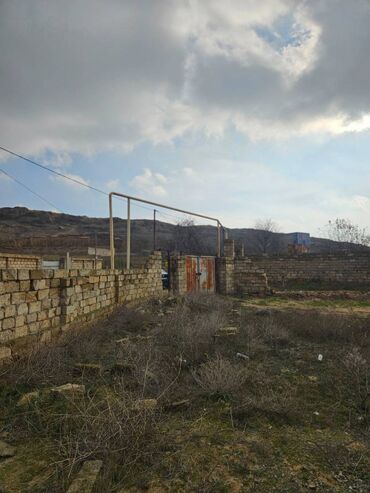 Torpaq sahələrinin satışı: 12 sot, Mülkiyyətçi, Kupça (Çıxarış) -da lalafo.az — 11 Torpaq sahələrinin satışı: 12 sot, Mülkiyyətçi, Kupça (Çıxarış) — 11