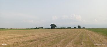 Torpaq sahələrinin satışı: Kənd təsərrüfatı — 6