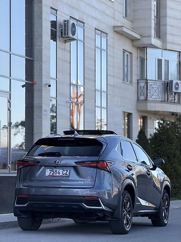 Lexus: Lexus NX: 2020 г., 2.5 л, Вариатор, Гибрид, Кроссовер — 6