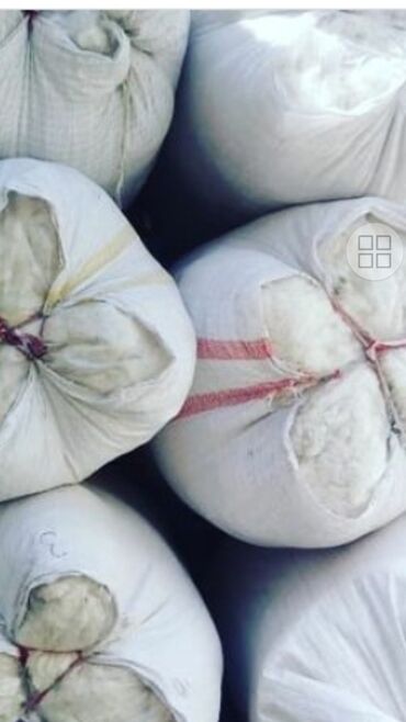 Yun: Yun satişi satışda yuyulmuş şamaxı yunu var qiymətlər keyfiyyətə — 28