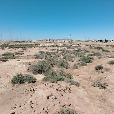 Torpaq sahələrinin satışı: 6 sot — 6