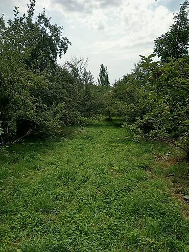 антоновка дома: 30 соток, Для строительства, Договор дарения — 5